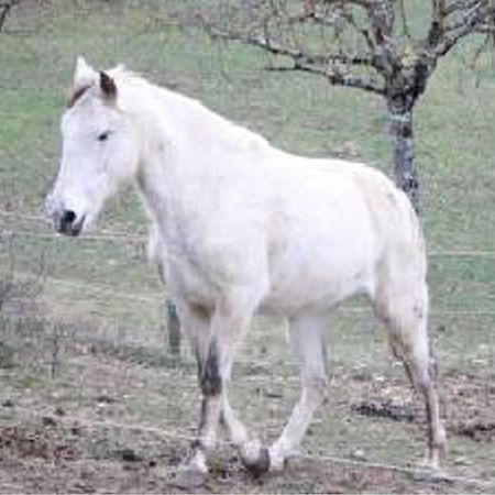 Gite De Fontepaisse Saint-Jean-en-Royans Dış mekan fotoğraf